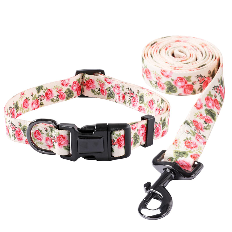 Hanyang Customized Wholesale Pet Product Polyester Durable Personalized Training Dog Leash Collar