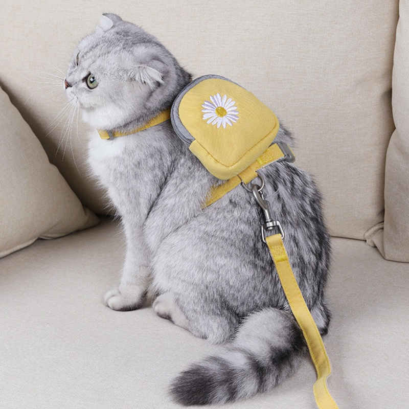 Yellow Color Multi-Function Self Carrier Cats Dogs Pet Backpack Leash Harness Set