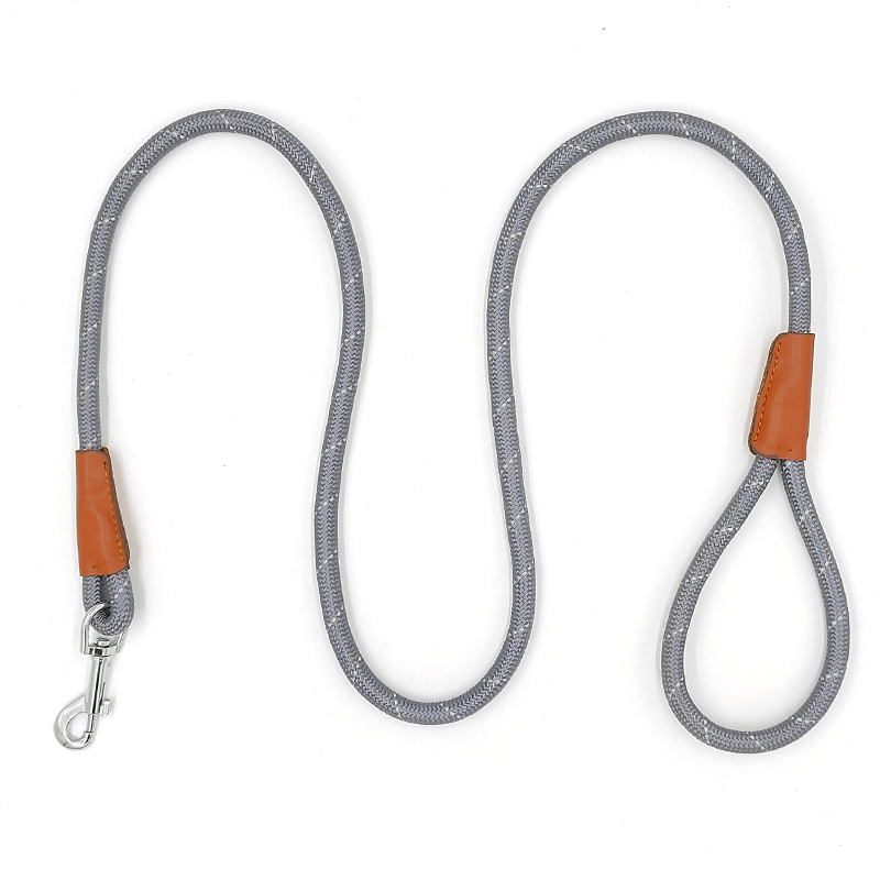 Stylish Lightweight Retractable Pet Leash for Pet Training