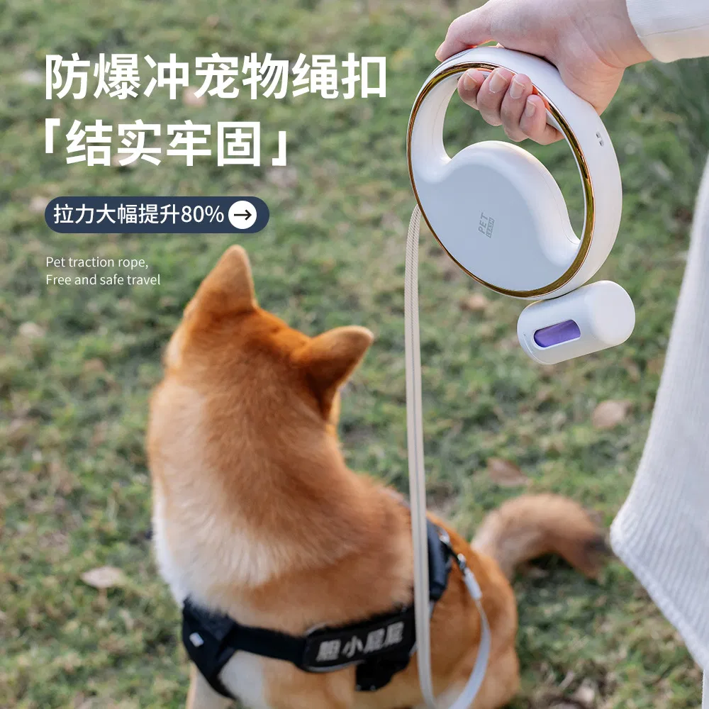 Highlight Lighting Leash