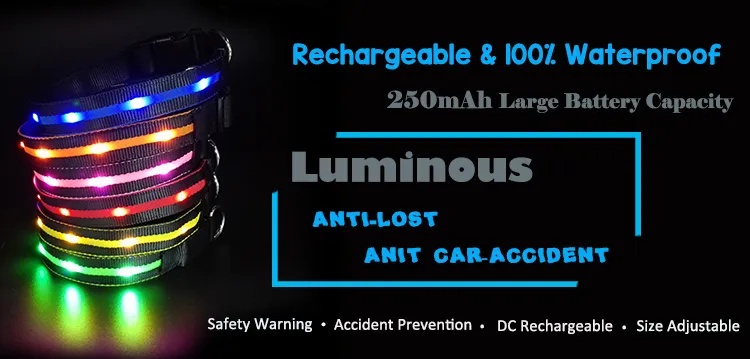 LED Dog Collar Overview