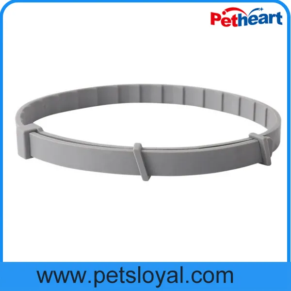 Pet Collar Photo 2