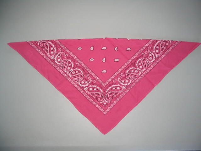 Pet Bandana in Triangle Shape for Dog and Cat