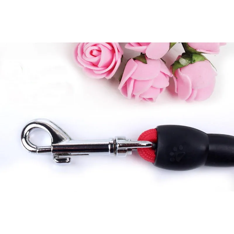 Pet Collar Leash 3