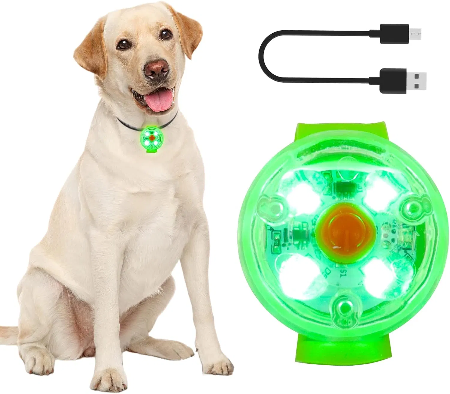 Custom USB Rechargeable LED Dog Collar Lights Waterproof Pet Cat Light Pendant