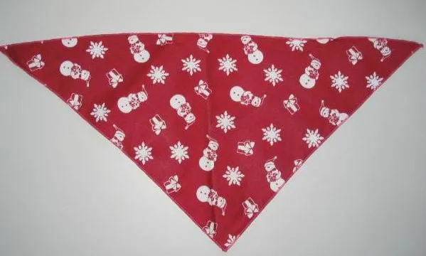 Pet Bandana 6
