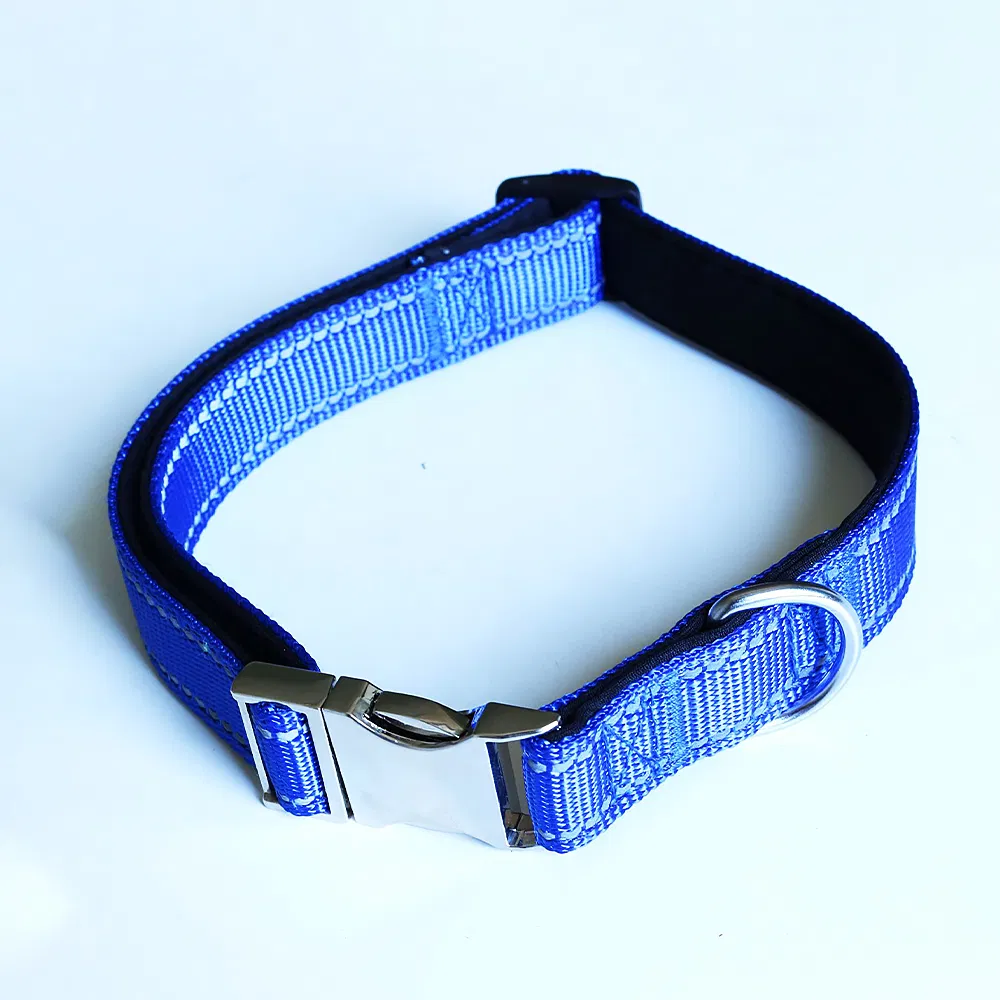Pet Collar Detail 6