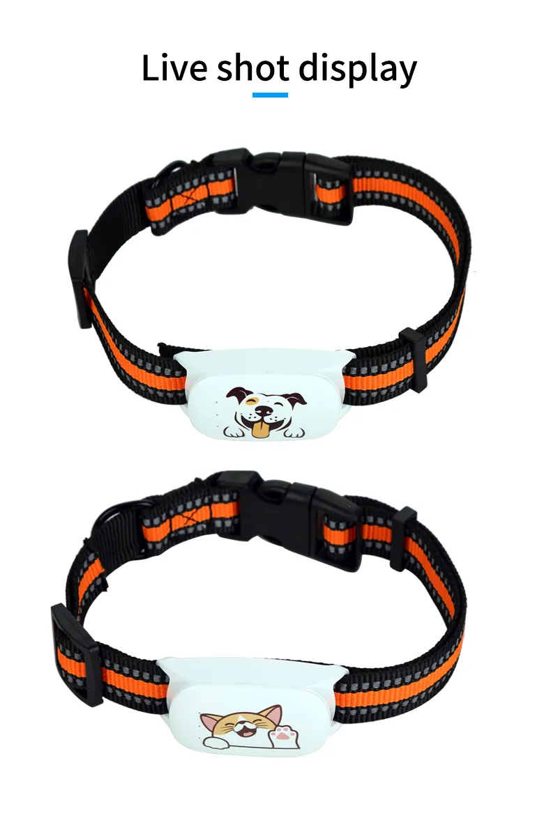 Pet GPS Tracker Application