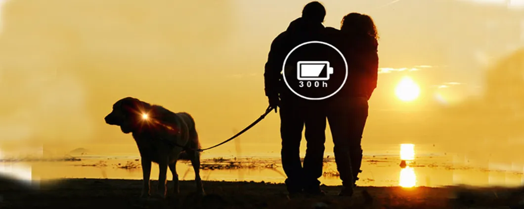 Clip-on Dog & Cat Pet Collar LED Lights