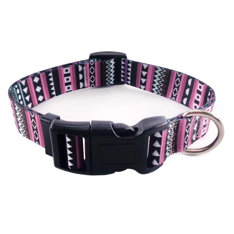 Fashion Custom Pattern Dog Training Pet Martingale Collar