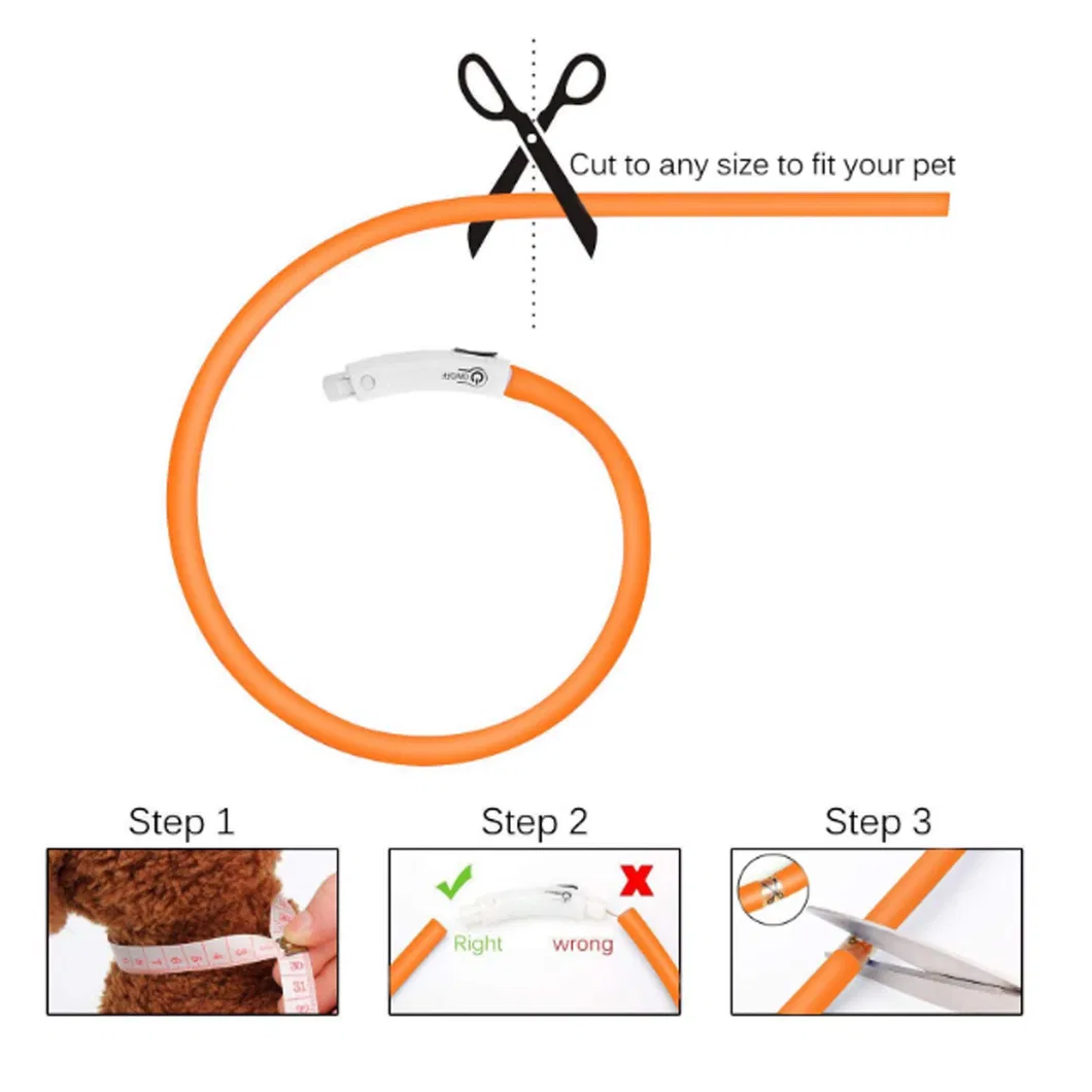 Pet Safety Visibility