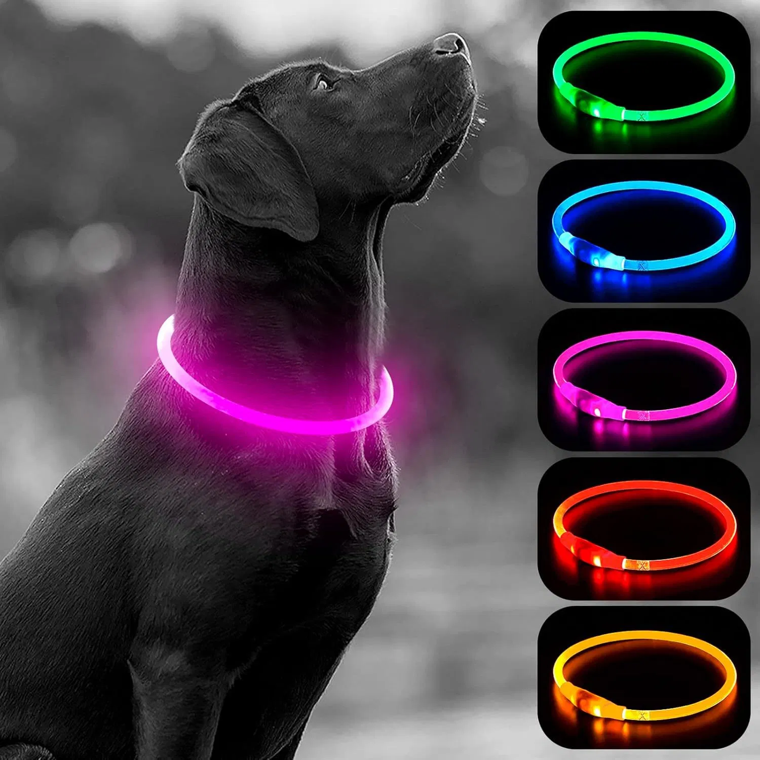 USB Rechargeable LED Light Dog Collar Water Resistant Reflective Flashing Light Customizable Size for Any Dog Promotional Pet