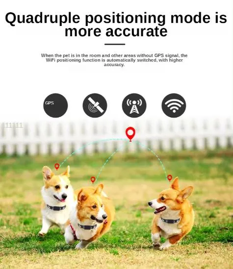 Pet Tracker Detail 2