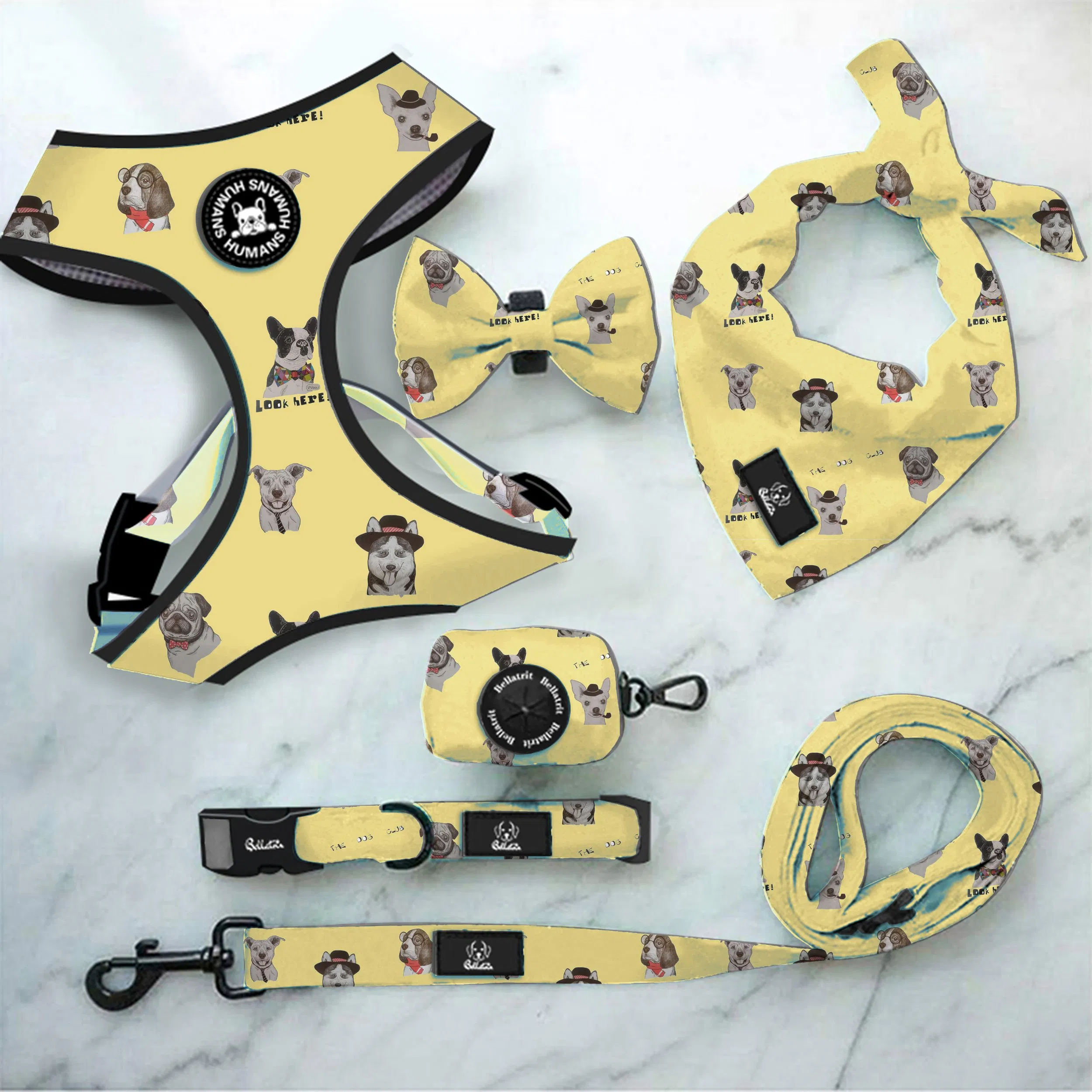 Amazon Pet Supplies Popular Style Custom Logo Walking Harness Dog Harness China