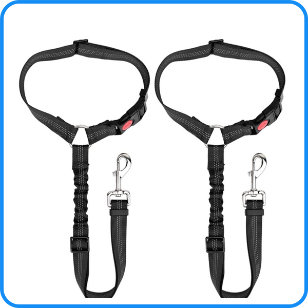 Pet Dog Seat Belts CE Third-Party Testing Factory
