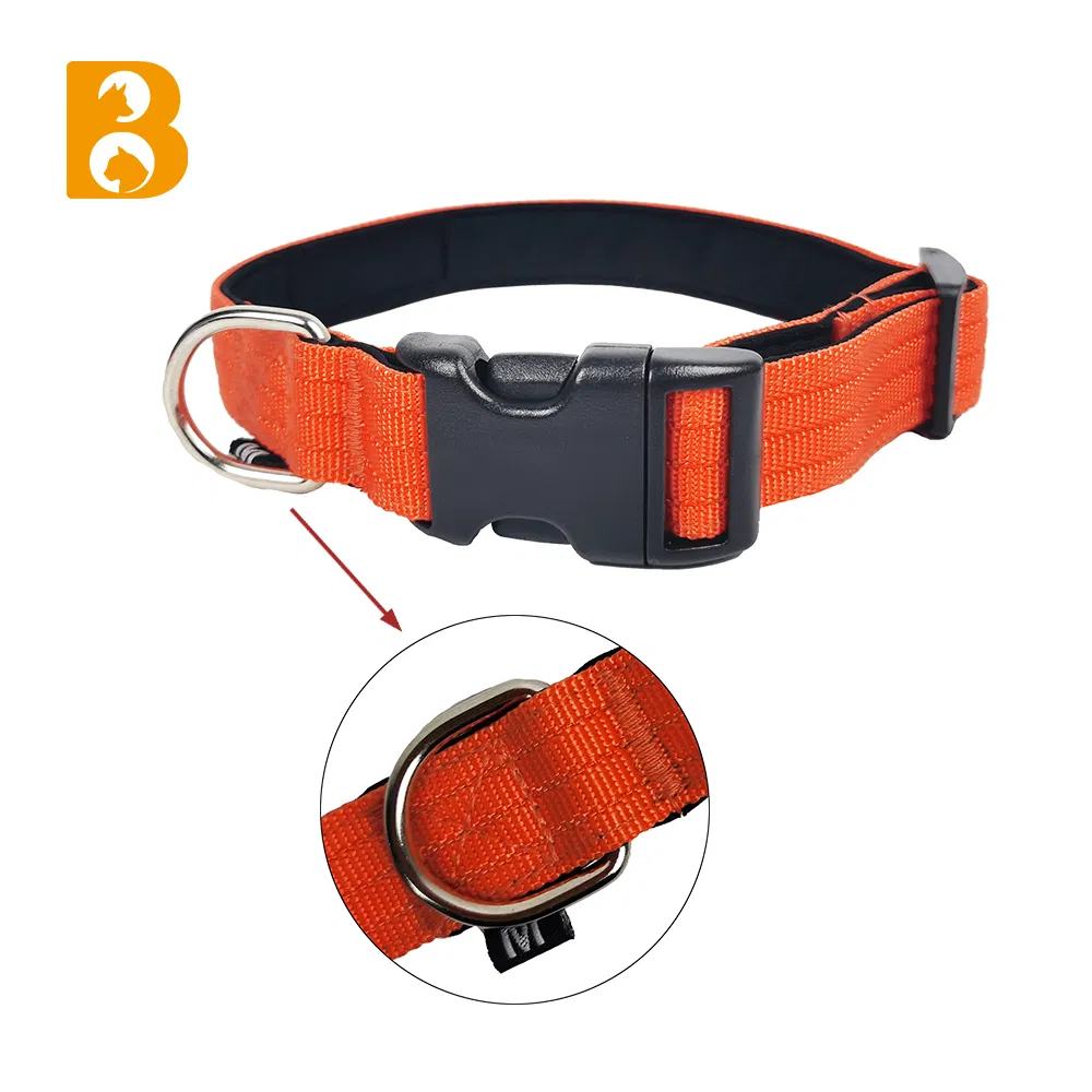 Dog Collar Lifestyle 2