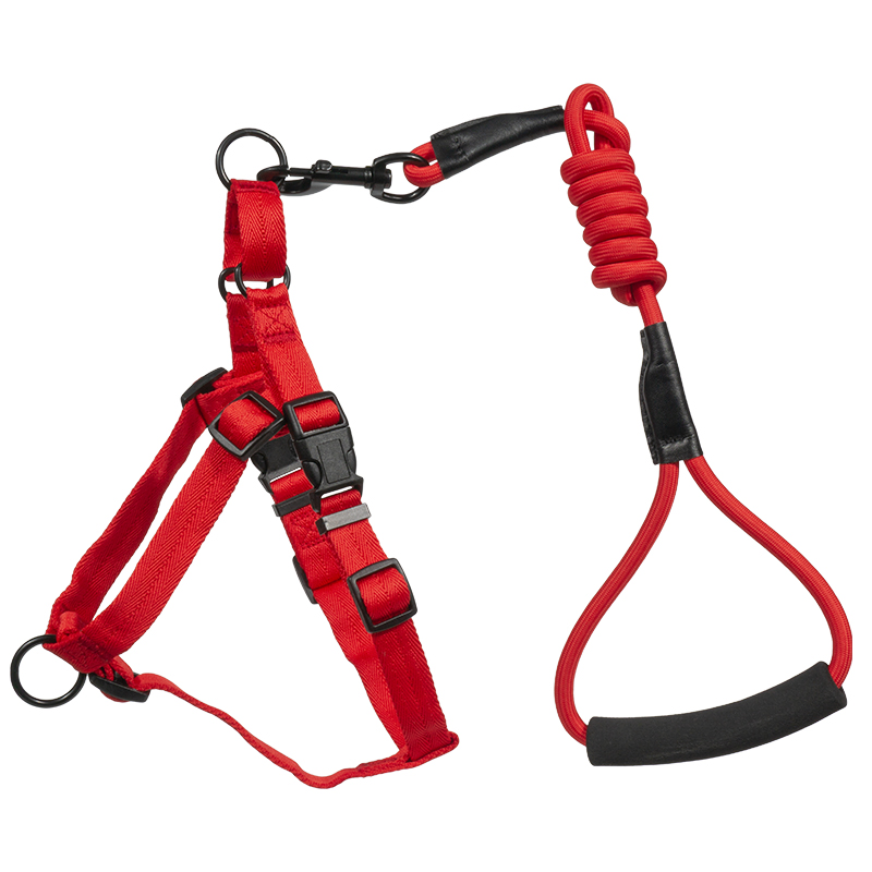 Manufacturers Wholesale Custom Pet Nylon Webbing Adjustable Metal Chain Small Nylon Backpack Dog Harness Set