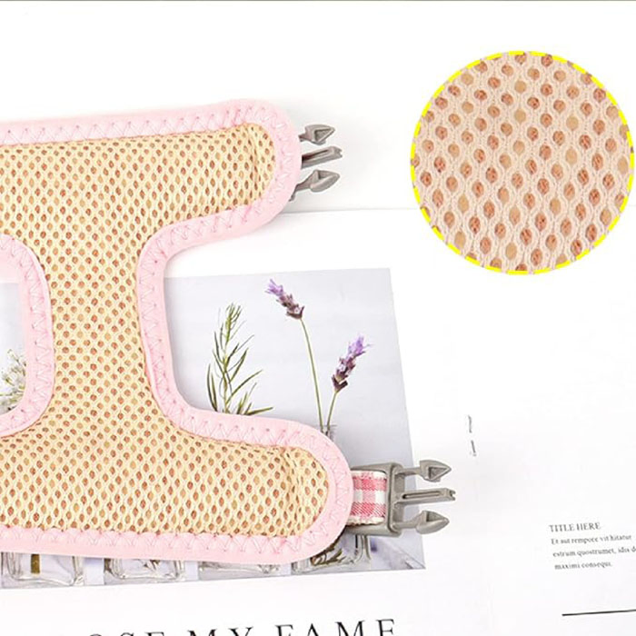 Pet Backpack Harness with Leash Puppy Bag with Training Lead