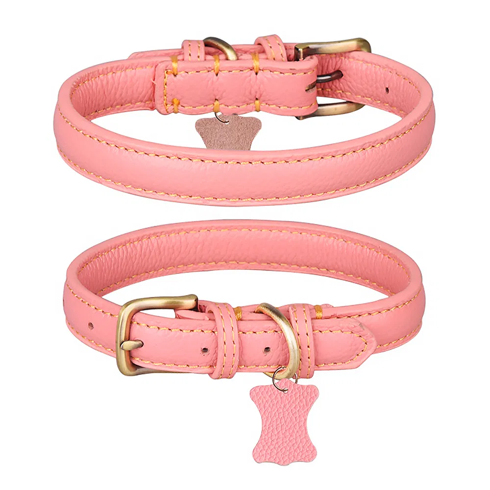 Training Collar Detail 5