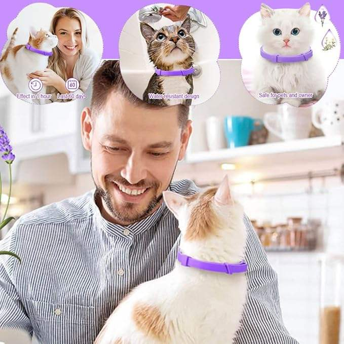 Custom Logo Free Sample Natural Plant Essential Oil Lavender Oil Dog Cat Calming Collar for Pet