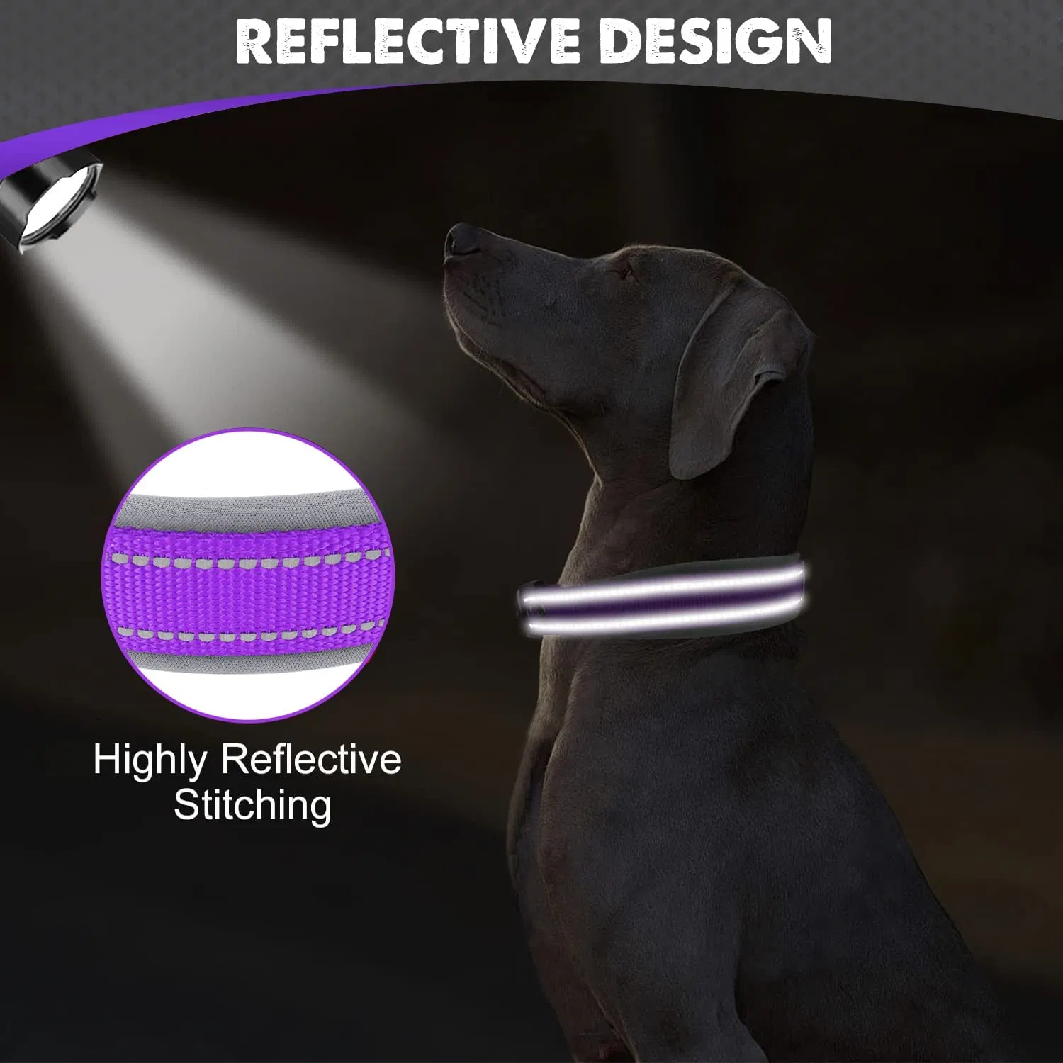 Durable Reflective Soft Padding Pet Collar with Multiple Colors