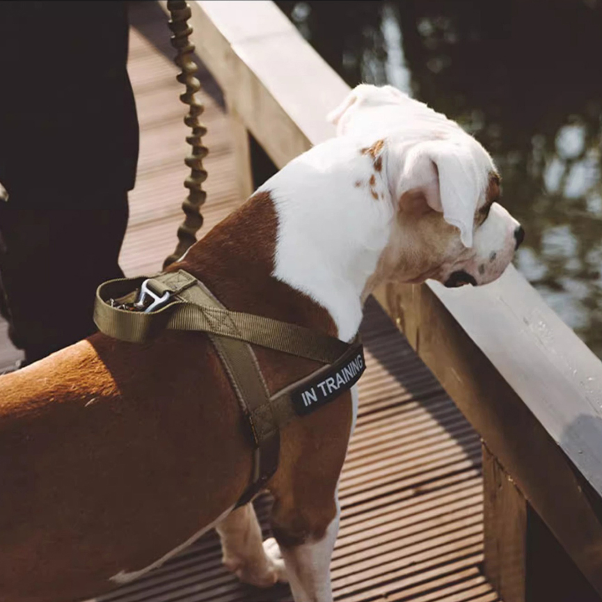 Stylish and Customizable Soft Dog Harness with Backpack Set