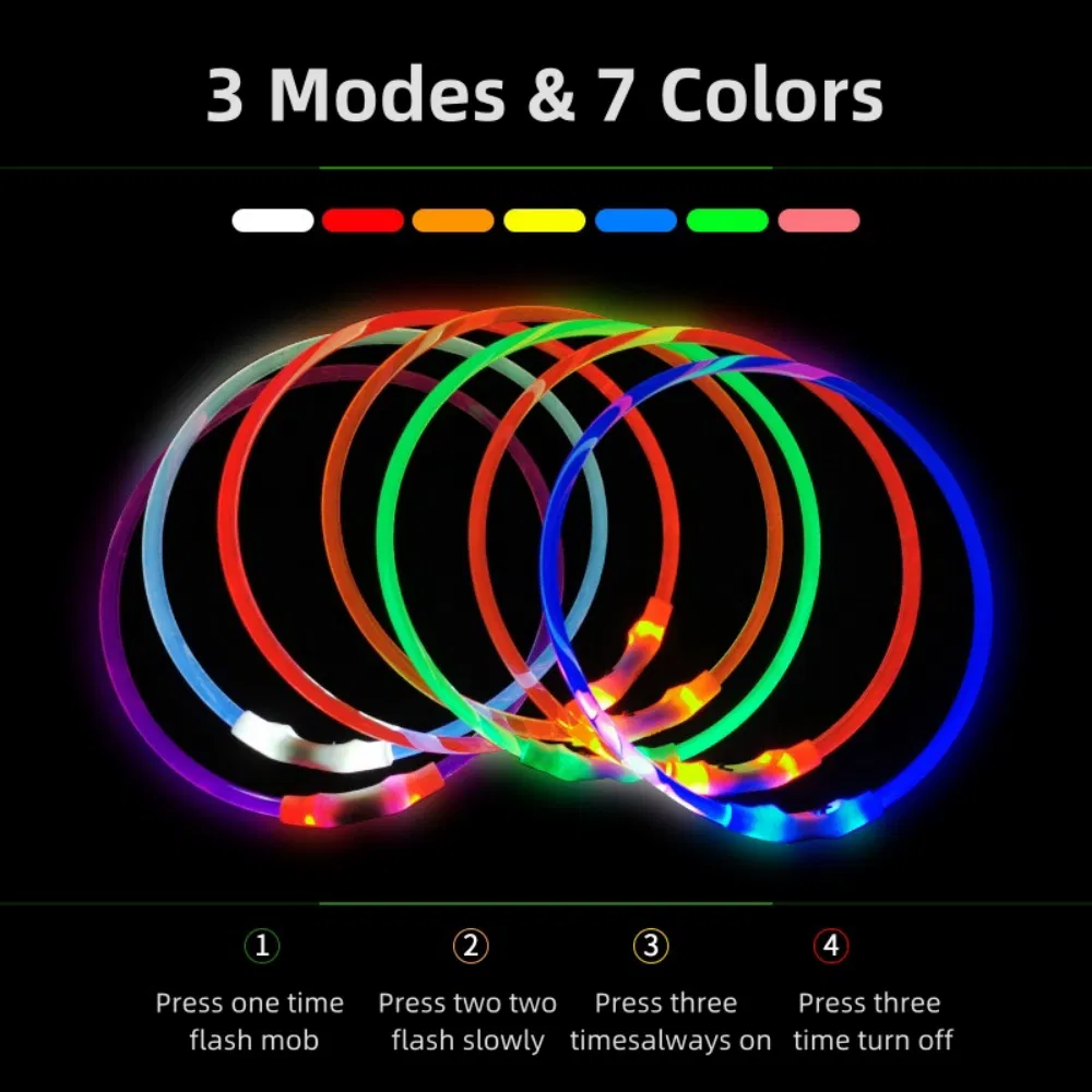 LED Dog Collar Show 2