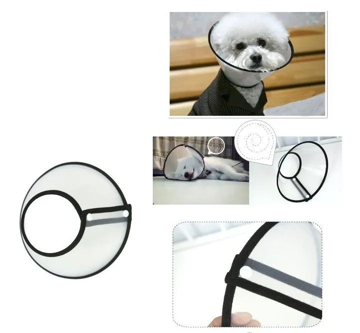 Elizabethan Collar Detail 3