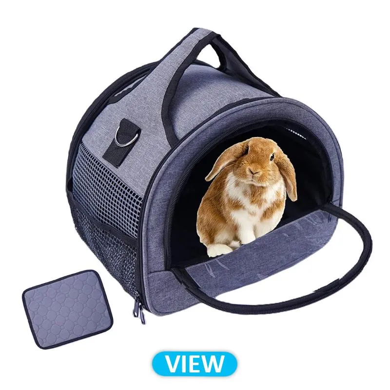 Small Animal Carrier