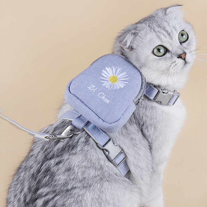 Multifunction Self Carrier Cats Dogs Backpack Bag Pet Backpack Leash Harness Set