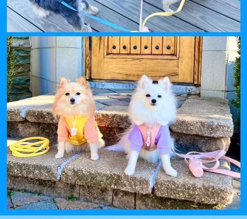 Pet Accessory Detail 5