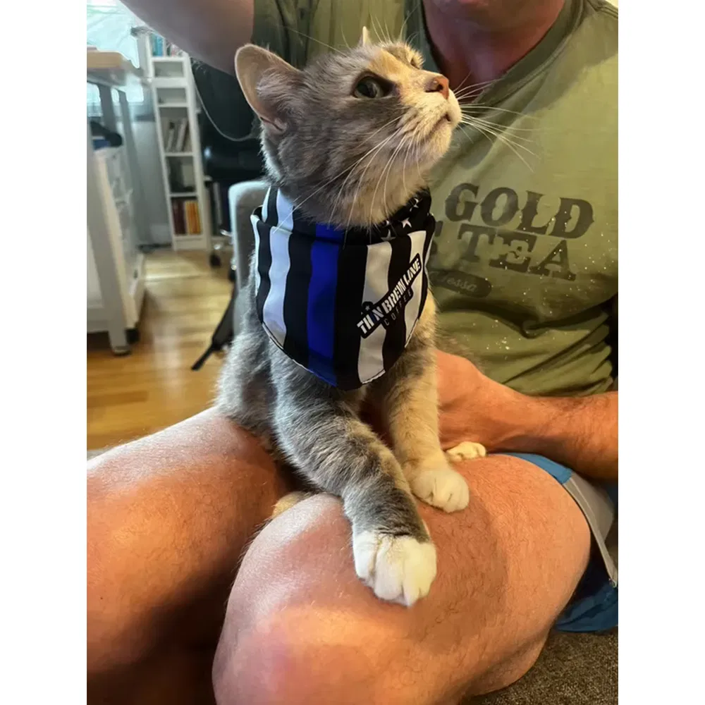 DIY Professional Printing Custom Fashionable Square Silk Cotton Pet Dog Neck Bandanna