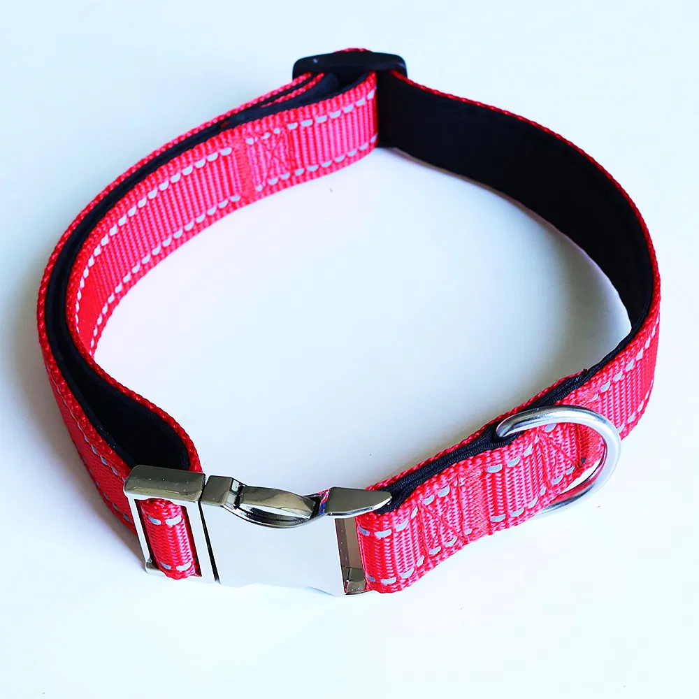 Pet Collar Detail 5