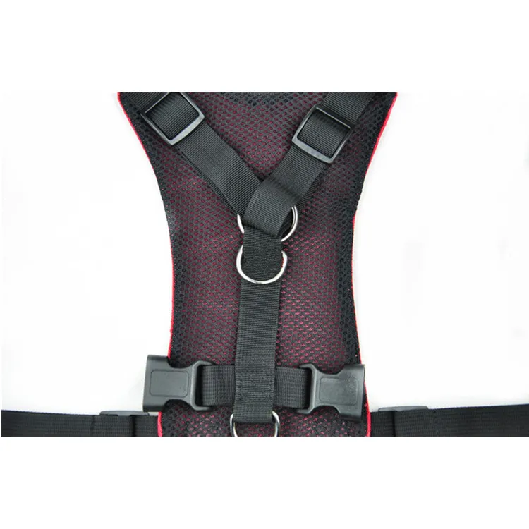 Dog Harness View 2