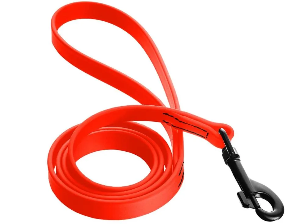 Dog Leash Detail 3