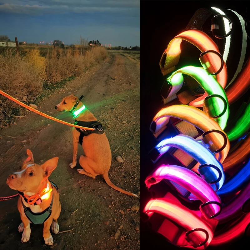 USB Charging LED Dog Collar Safety LED Luminous Dog Pet Light up Collar Night Nylon Necklace Glowing Leads for Dogs Night Safety