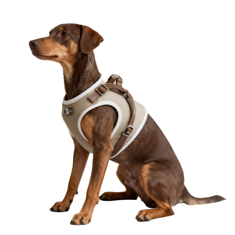 One-Piece Large Dog Harness for Pet Supplies Lovers