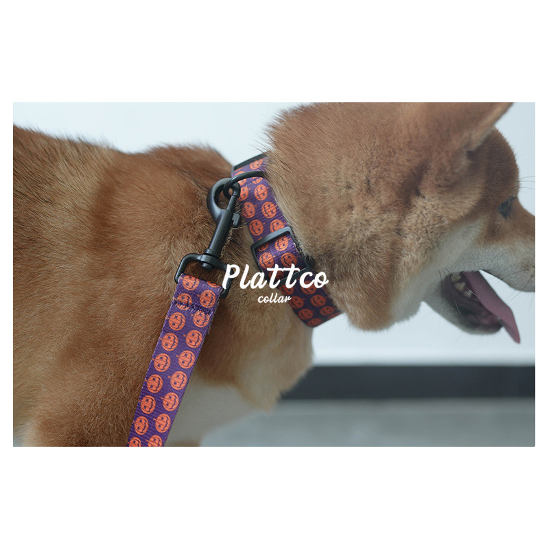 Halloween Pattern Printed Pet Cat Dog Adjustable Nylon Bark Training Leash Collar