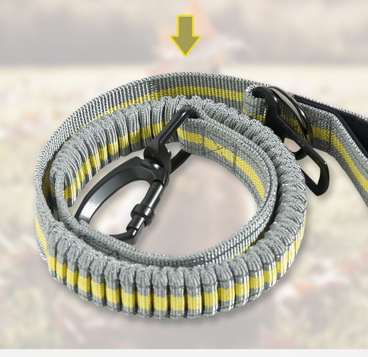 High Elastic Nylon Medium and Large Dog Leash Fluorescent Retractable Pet Explosion-Proof Leash Elastic Dog Leash