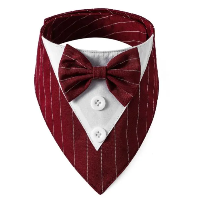 Pet Accessory Detail 10