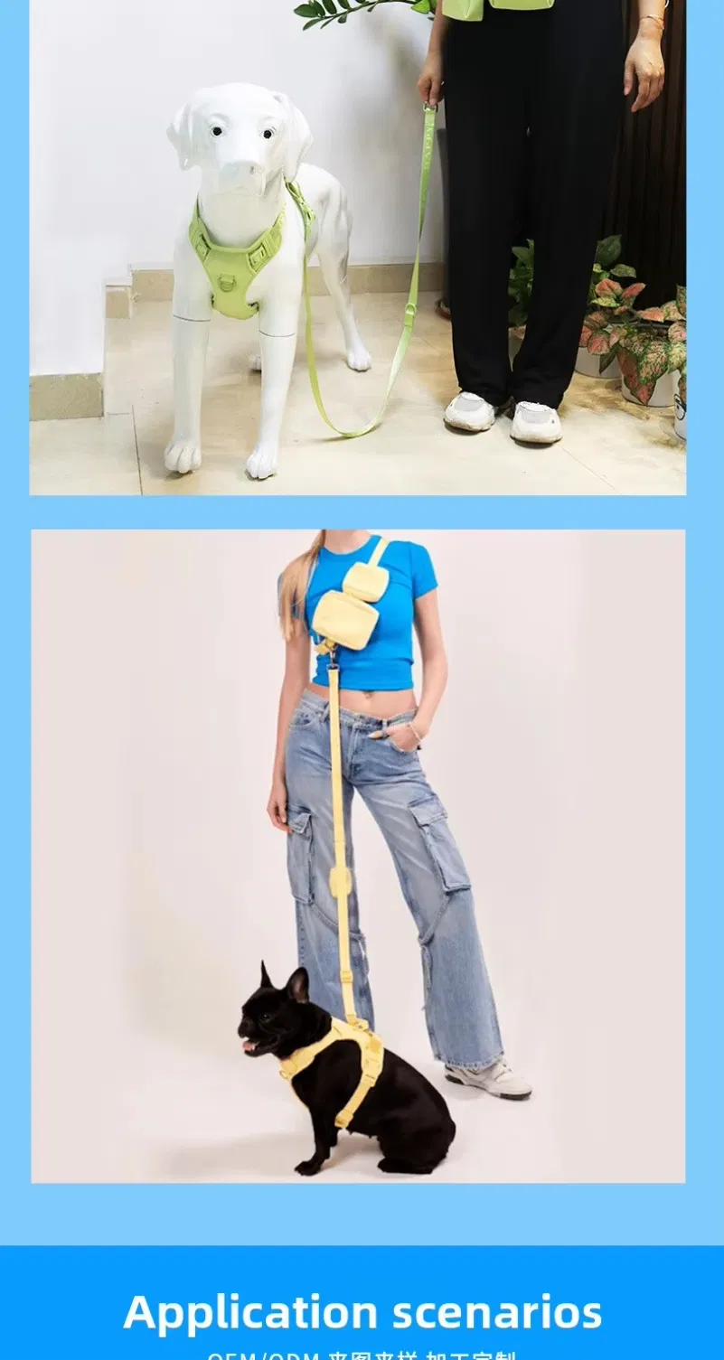 Pet Accessory Detail 3