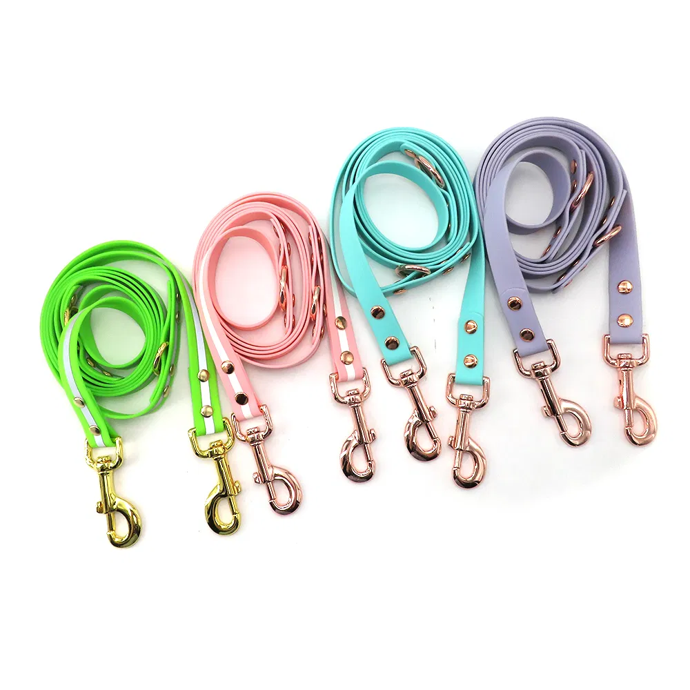 Pet Dog Training Leash Detail 3
