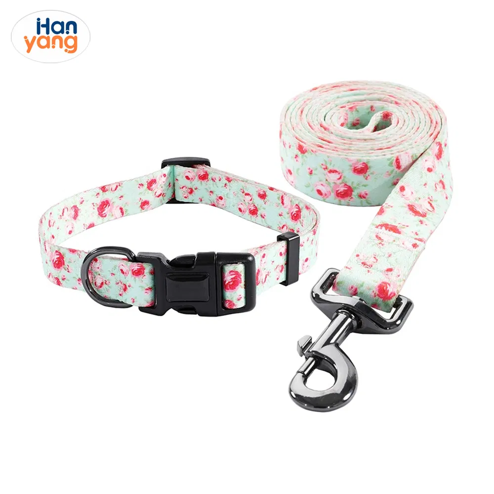 Hanyang Customized Wholesale Pet Product Polyester Durable Personalized Training Dog Leash Collar