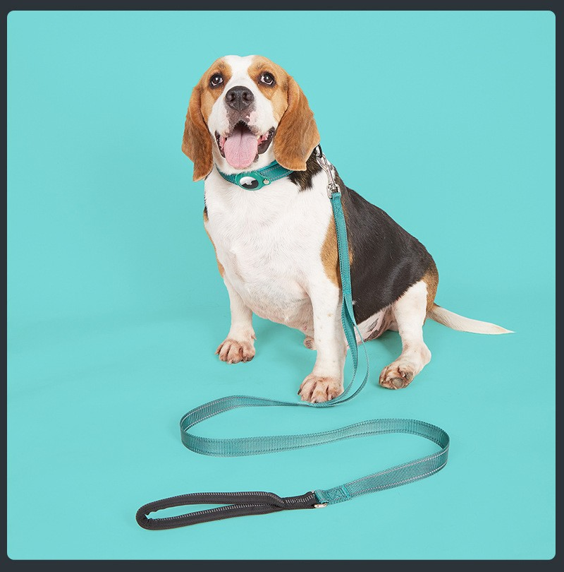 Dog Walking Chest Strap with Durable Leash for Large Dogs