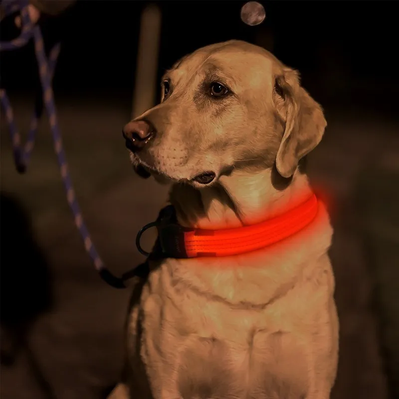 LED Dog Collar View 5