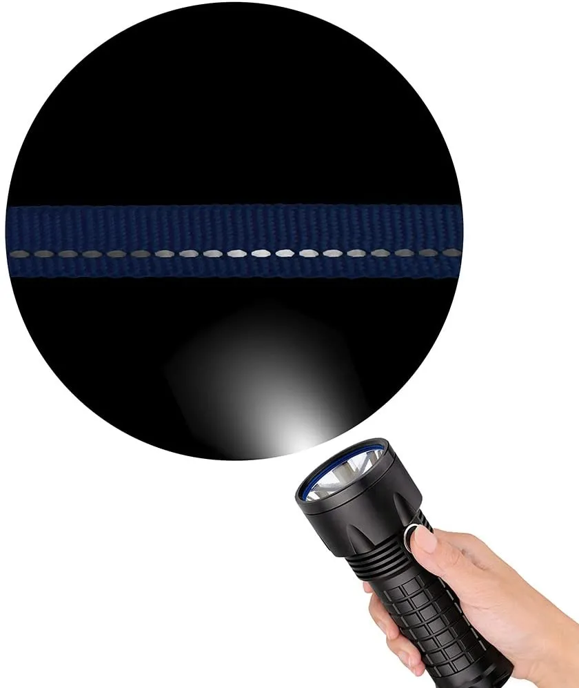 Reflective Dog Collar