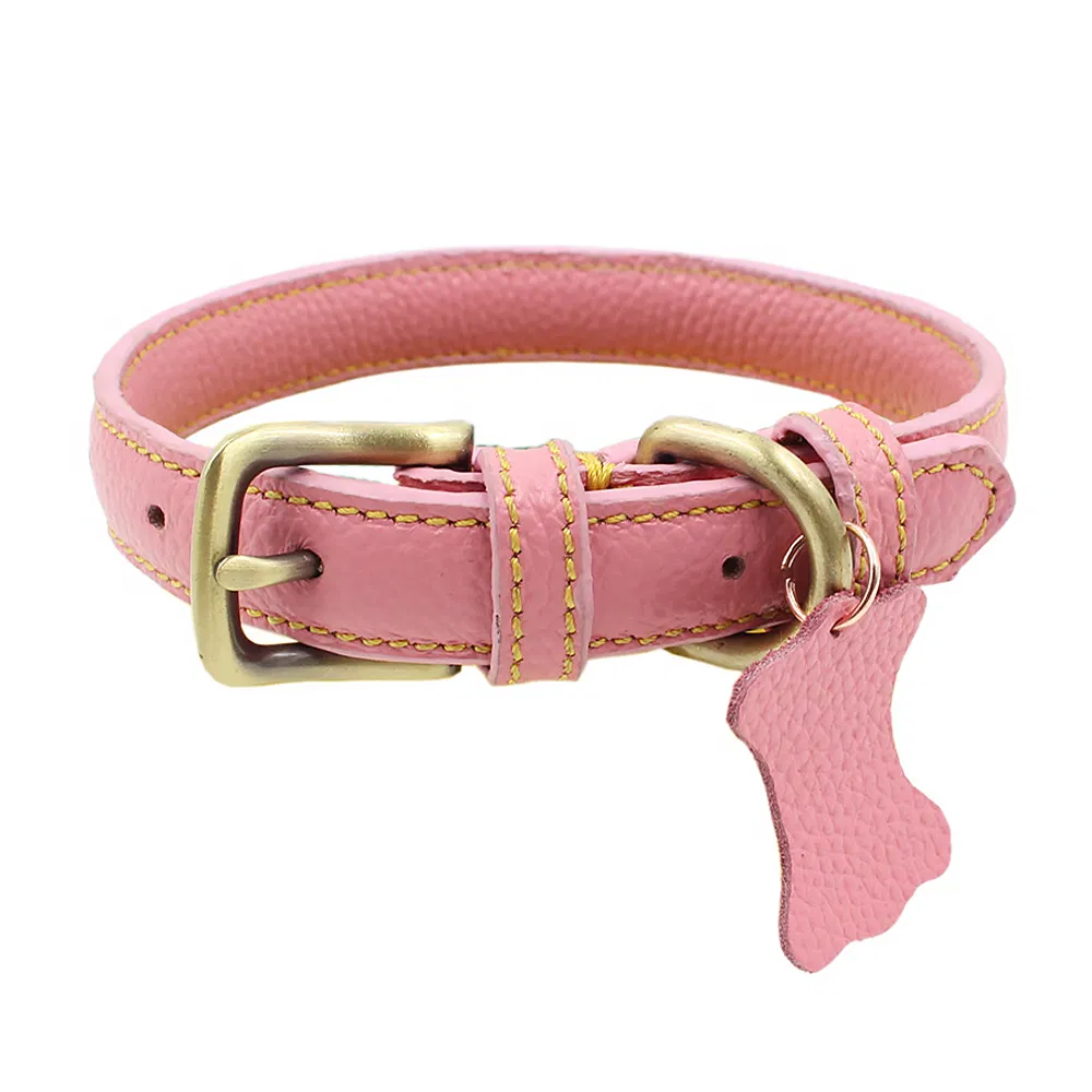 Leather Dog Training Collar for Pet Products