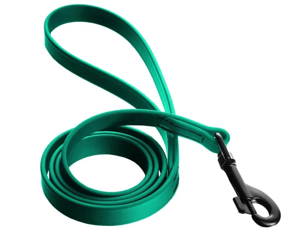 Dog Leash Detail 1