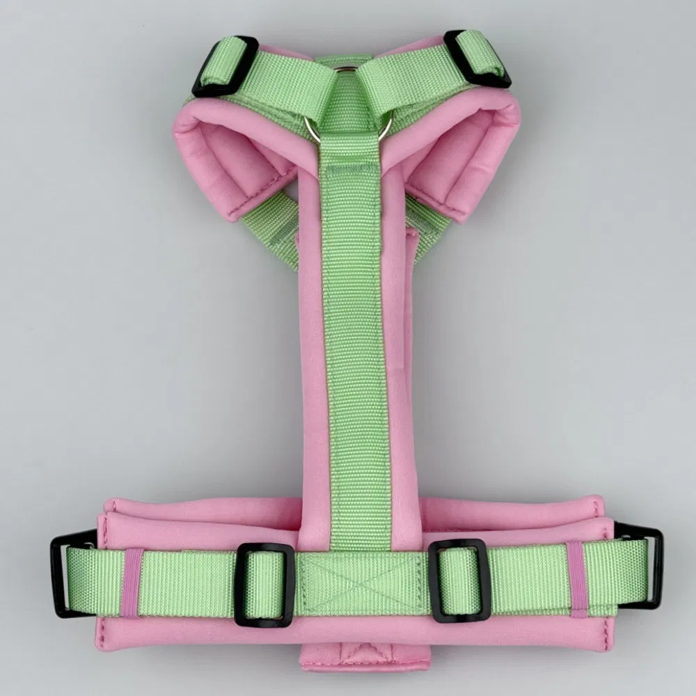 Dog Harness Color