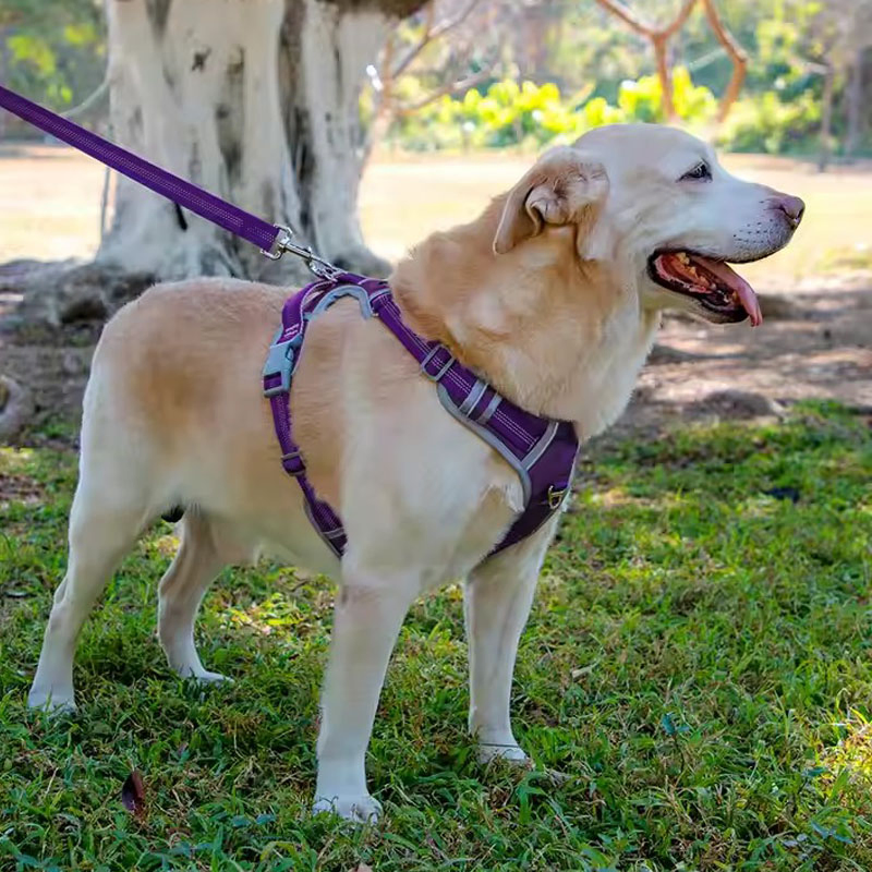 Wholesale Adjustable Outdoor Reflective Oxford Mesh Padded Dog Chest Back Straps (CFPTS25008)